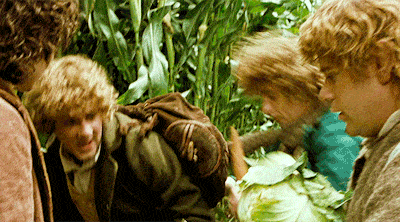 i love you, samwise gamgee! i love you, samwise gamgee!